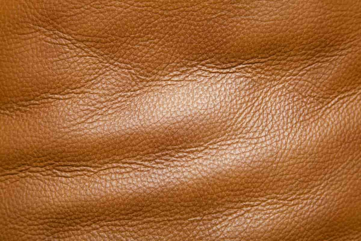 Buy PU leather full form + best price