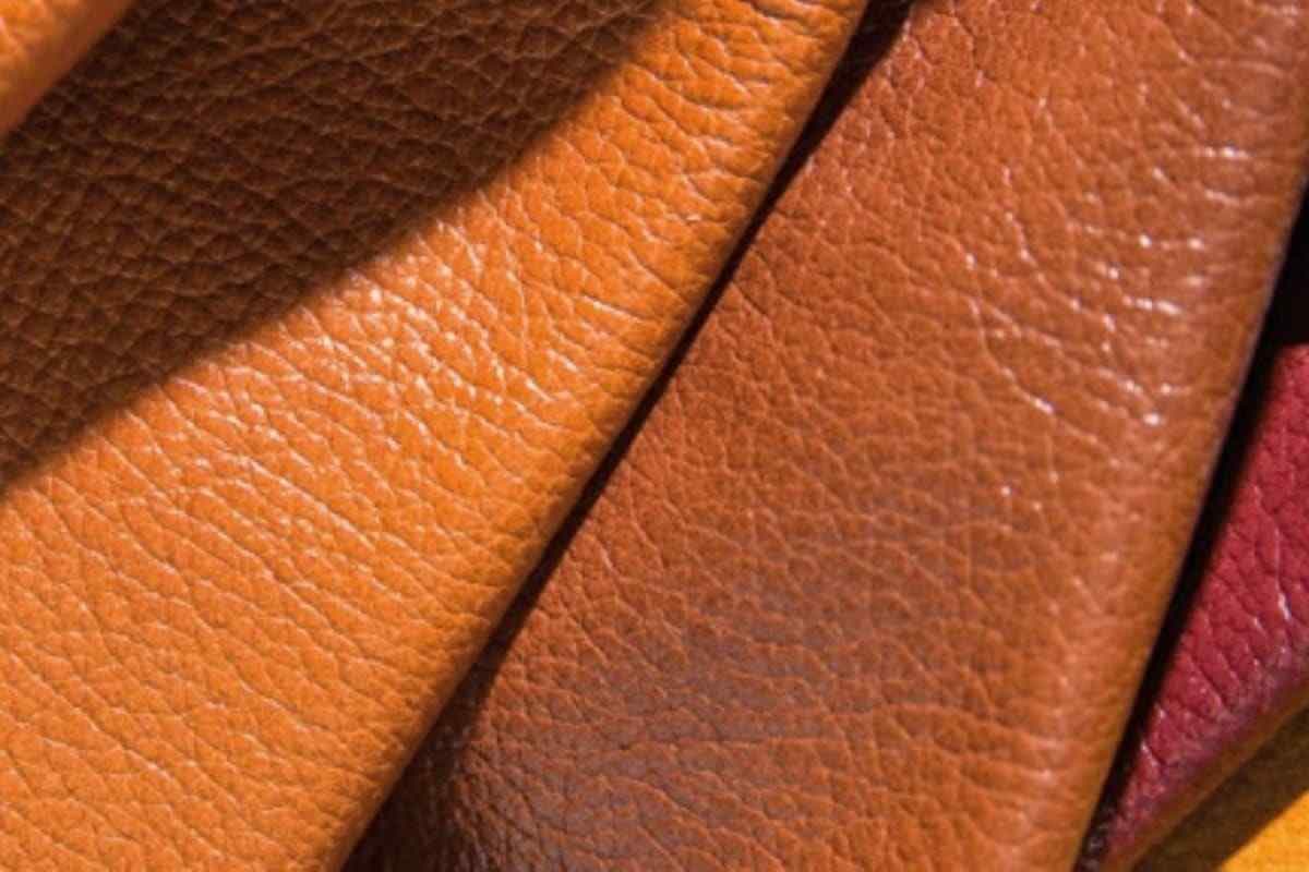 Buy ostrich leather by ray types + price